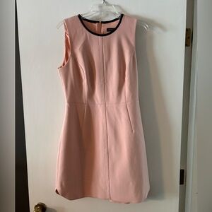 Banana Republic Light Pink Mini Dress